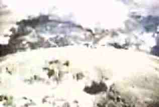 scena