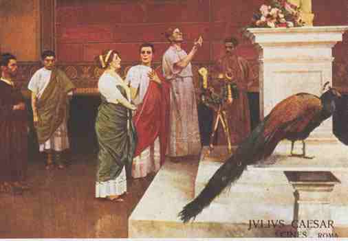 original poster