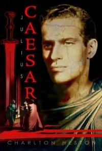 original poster