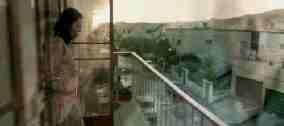 scena