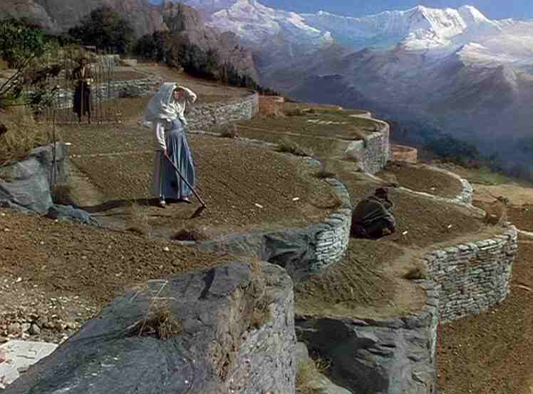 scena