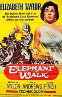 original poster
