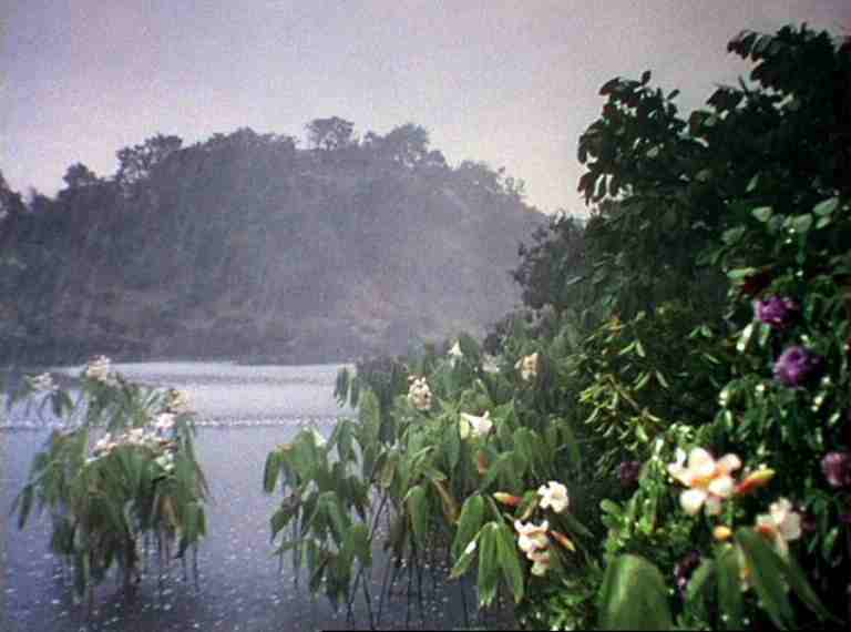 scena