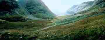 scena