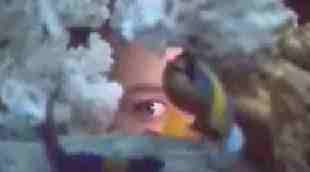 scena