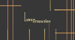 Laws of Attraction - Matrimonio in appello