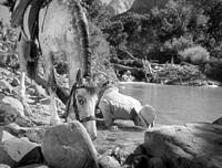 scena del film