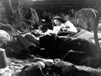 scena del film