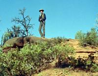 scena del film