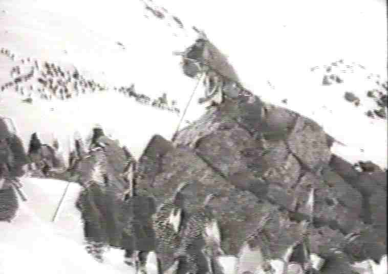 I Cartaginesi valicano le Alpi