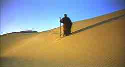 Mos� vaga nel deserto