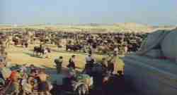 Le genti si riuniscono