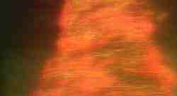 Una colonna di fuoco inviata da Dio ferma per il momento gli egiziani