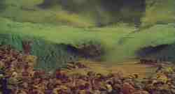 Mos� apre le acque