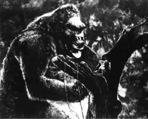 Kong e Ann
