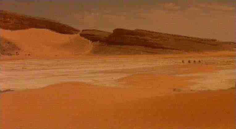 In marcia nel deserto