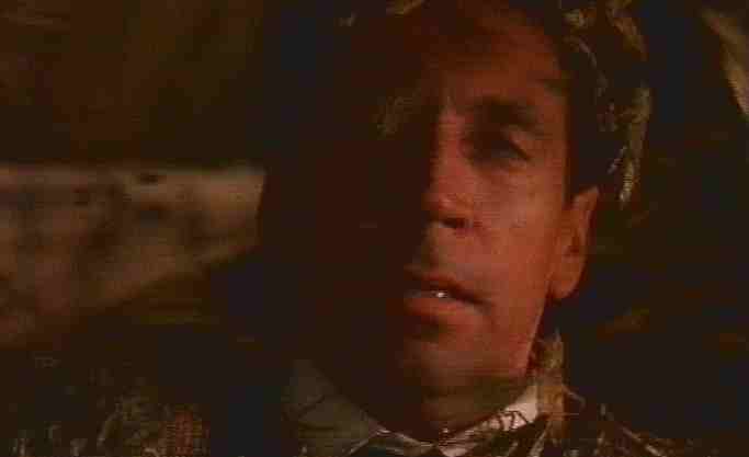 Assalto di cavallette