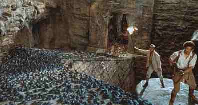 Gli scarafaggi sacri