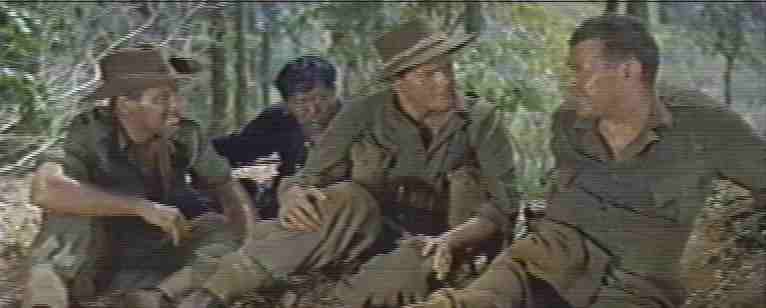 La forza 316 dei guastatori