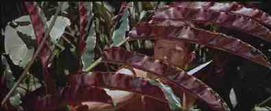 Il gruppo di guastatori raggiunge la zona