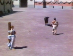 Ursus e il toro