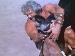 Ursus e il toro