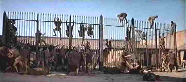 La rivolta degli schiavi