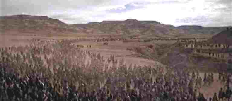 In marcia verso Roma