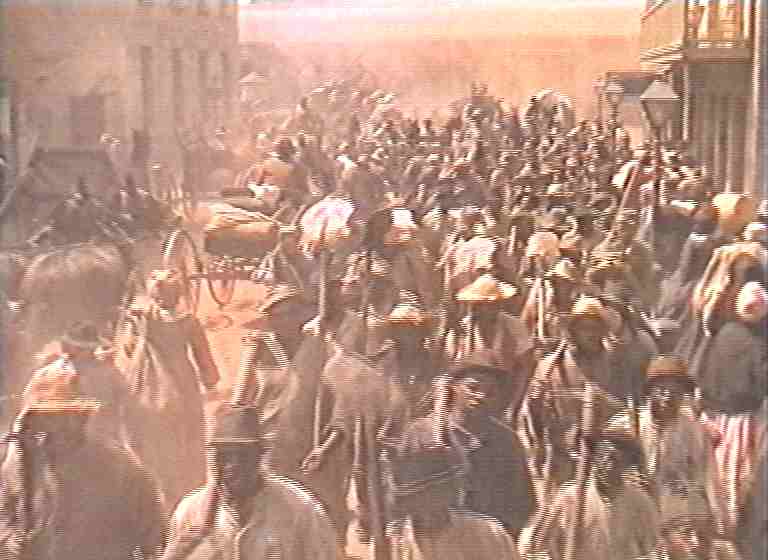 Animale da allevamento