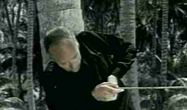 scena