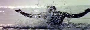scena