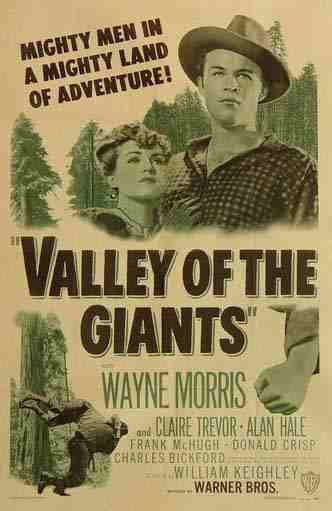 original poster