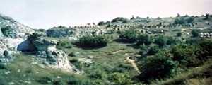 scena