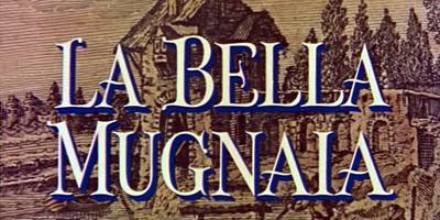 Screen Title