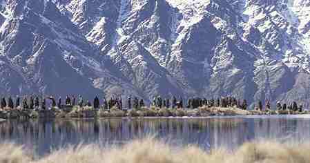 Suggestiva immagine de Il Signore degli anelli-Le due torri