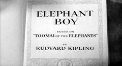 La danza degli elefanti