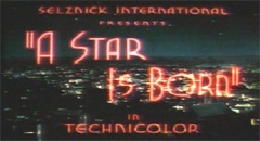 &Egrave; nata una stella