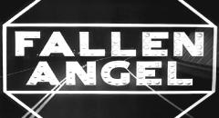 Un angelo &eacute; caduto