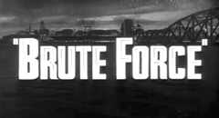 Forza bruta