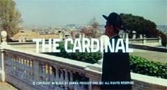 Il cardinale