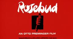 Operazione Rosebud