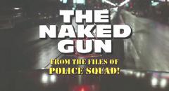 Una pallottola spuntata