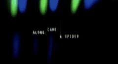 Nella morsa del ragno