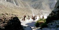 scena del film