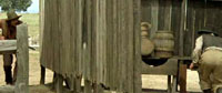 scena del film